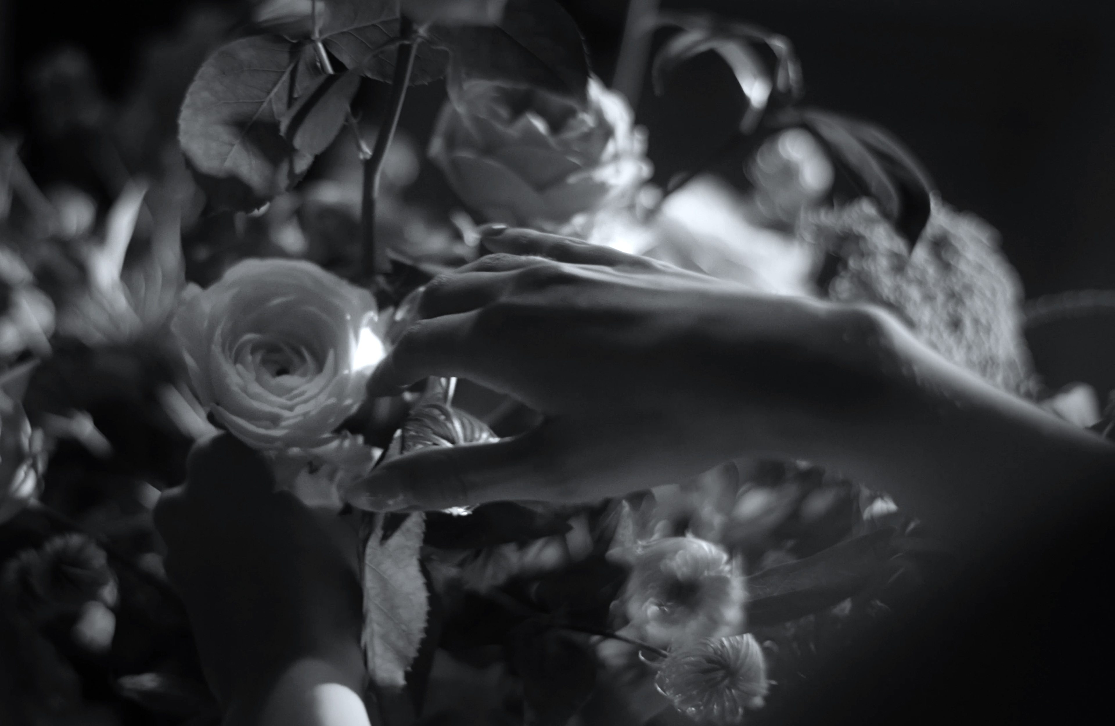 Mark Castle | Film Director & Content Creator, home: Works (Fig. 43)