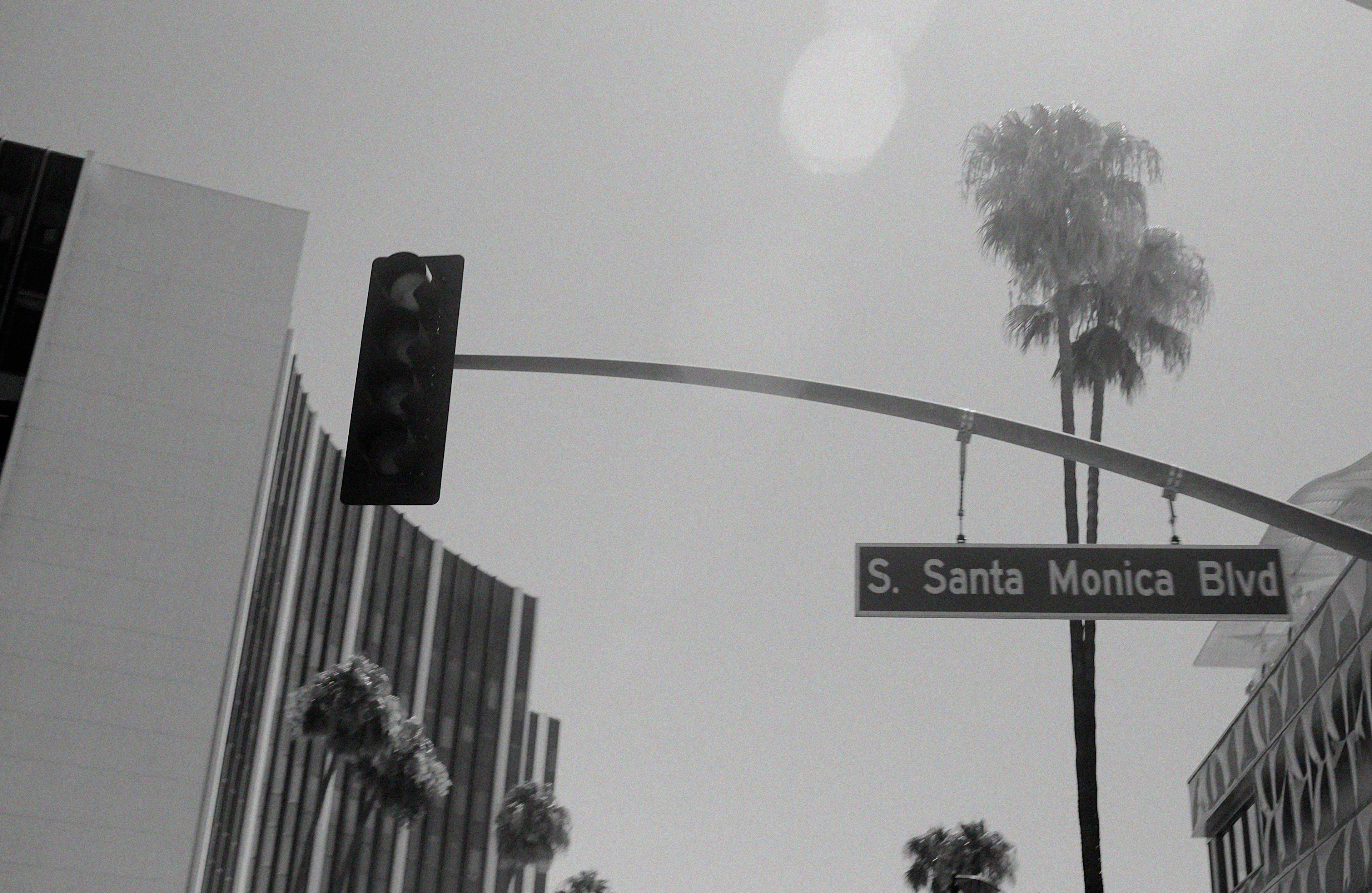 Mark Castle | Director, home: Works (Fig. 36)